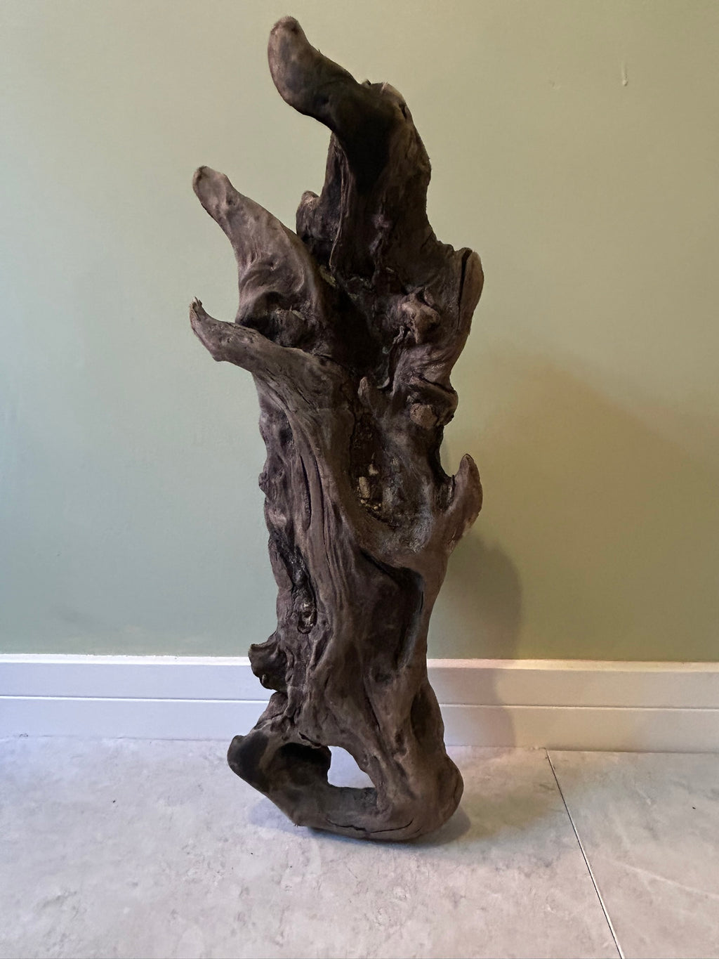 Natural Medium Driftwood