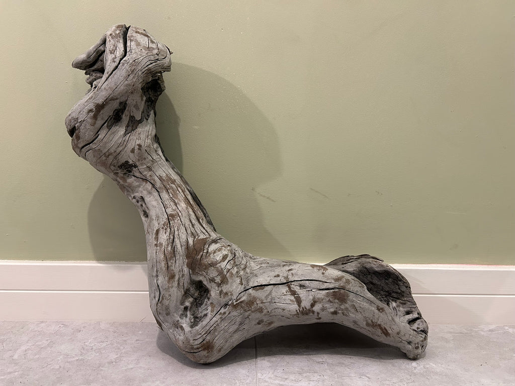 Natural Medium Driftwood