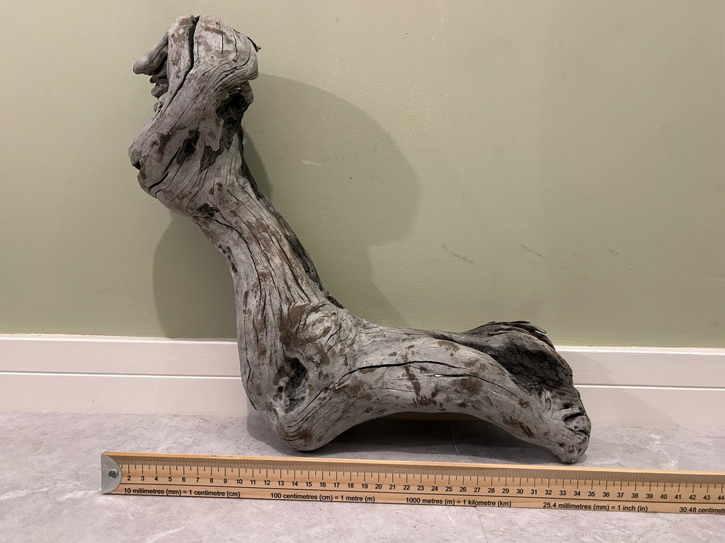 Natural Medium Driftwood