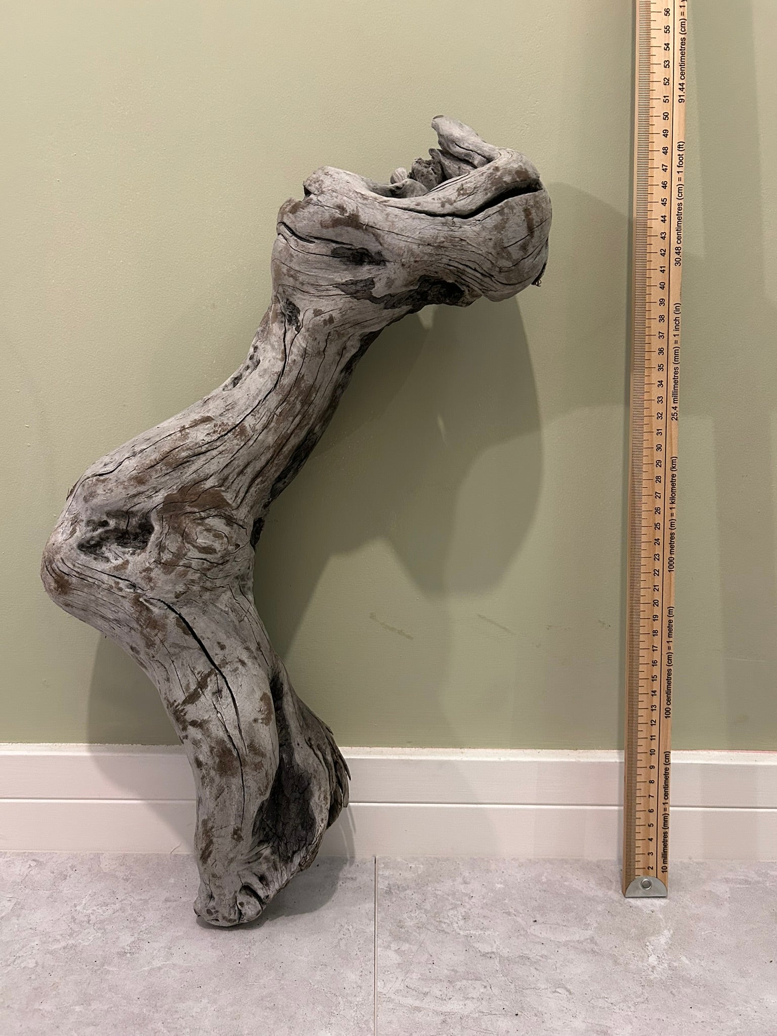 Natural Medium Driftwood