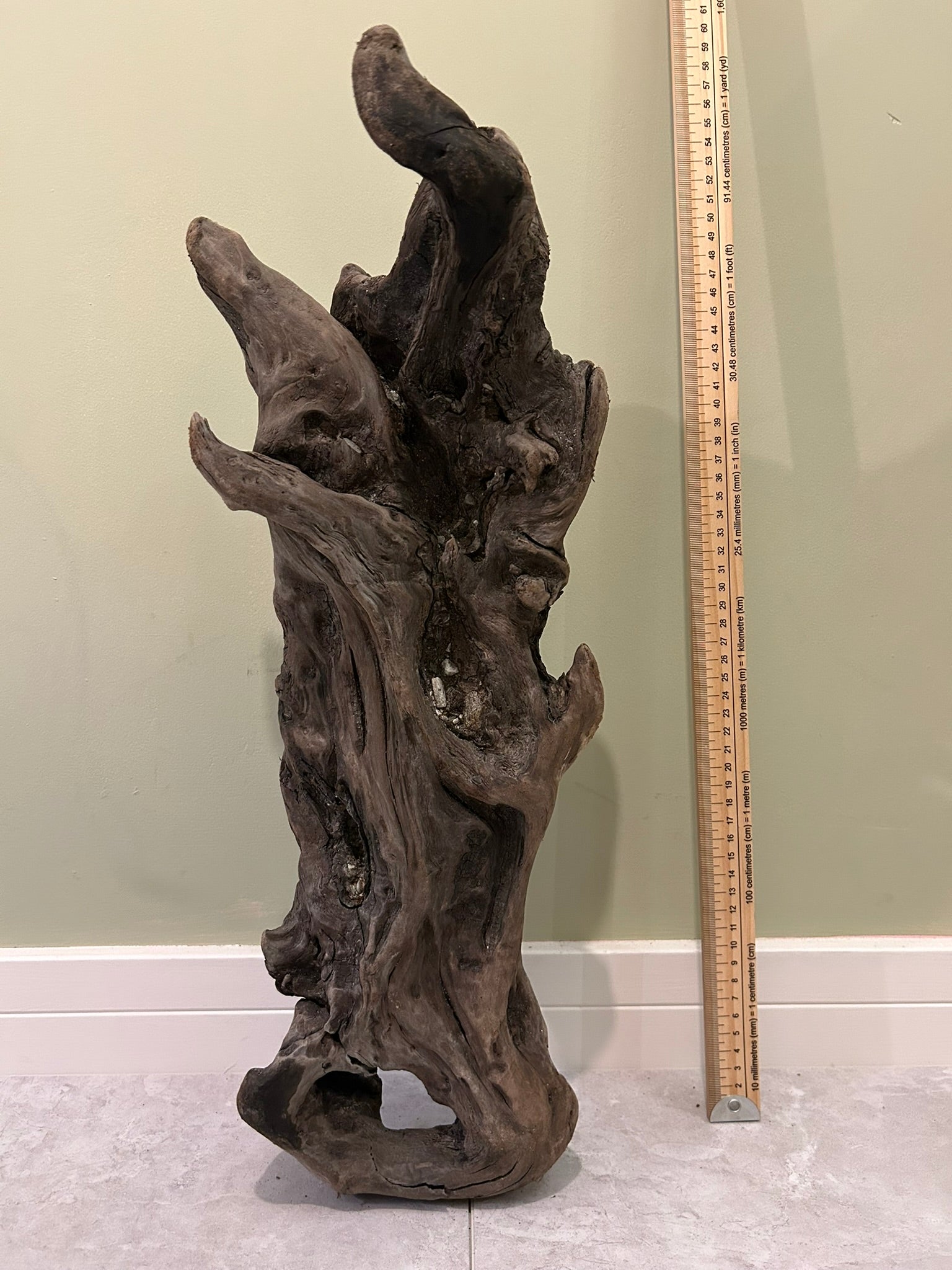 Natural Medium Driftwood