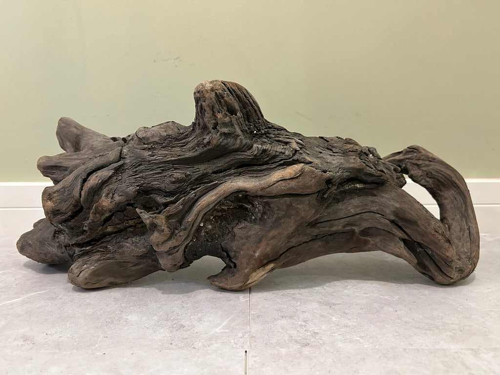 Natural Medium Driftwood