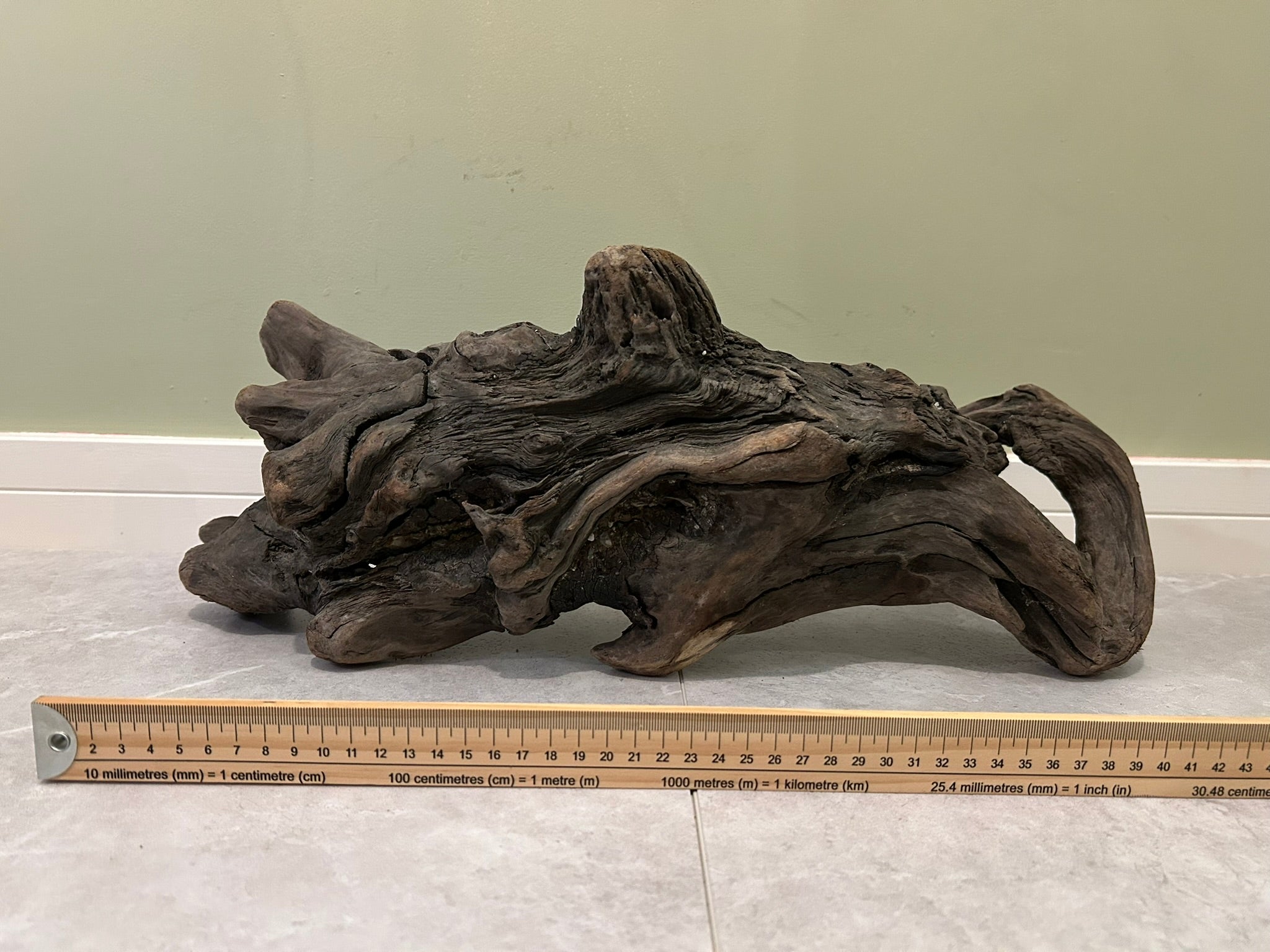 Natural Medium Driftwood