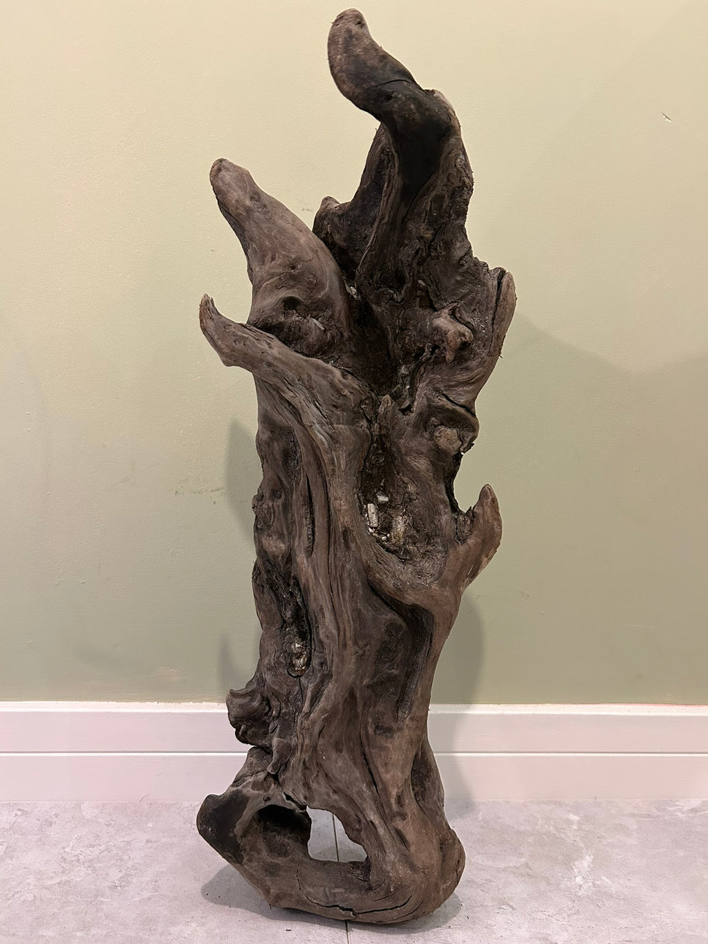 Natural Medium Driftwood