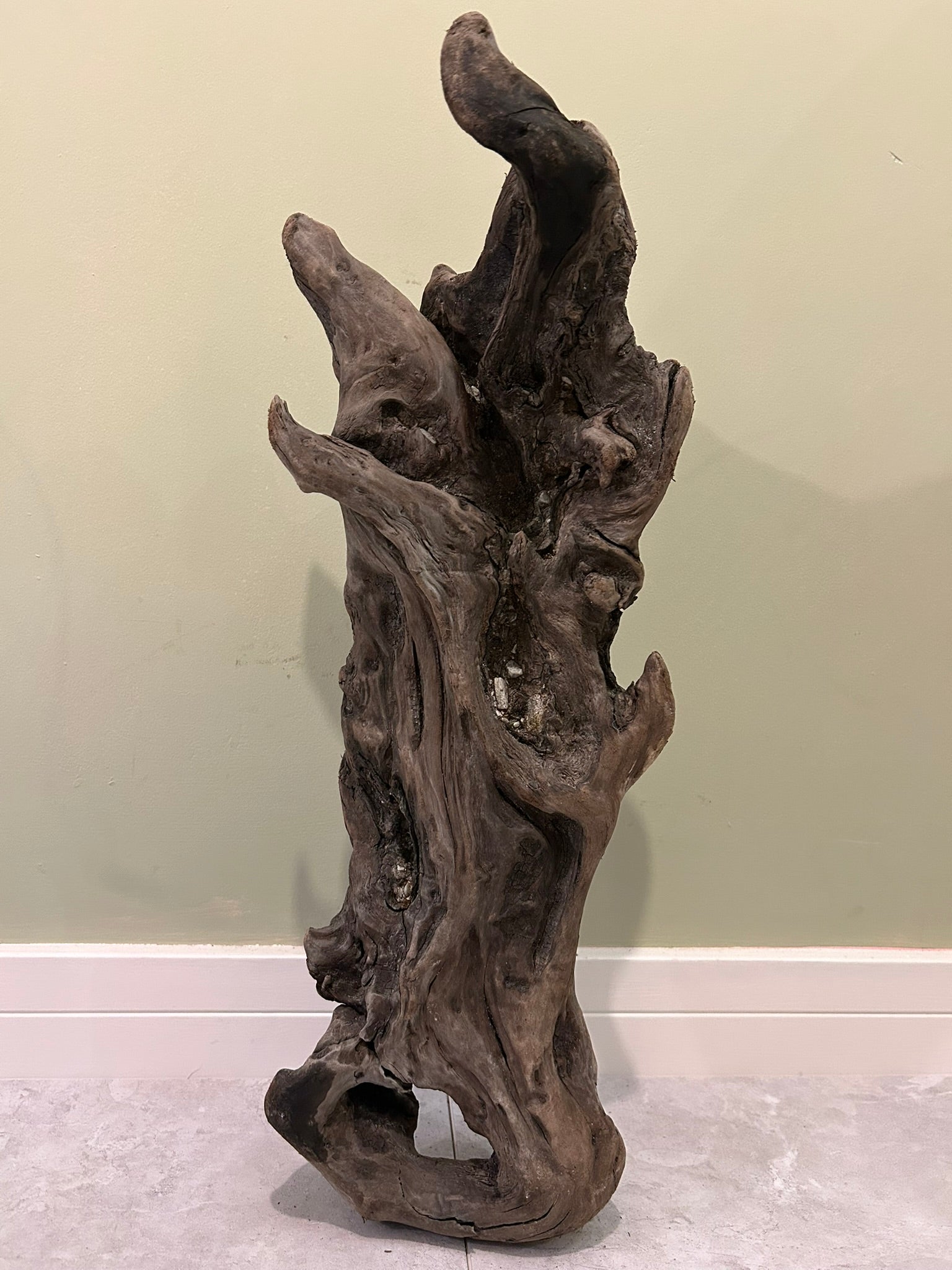 Natural Medium Driftwood
