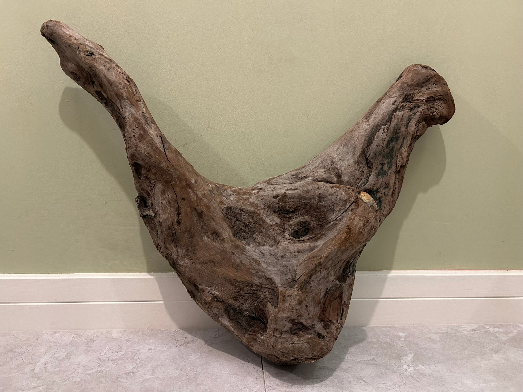 Natural Medium Driftwood