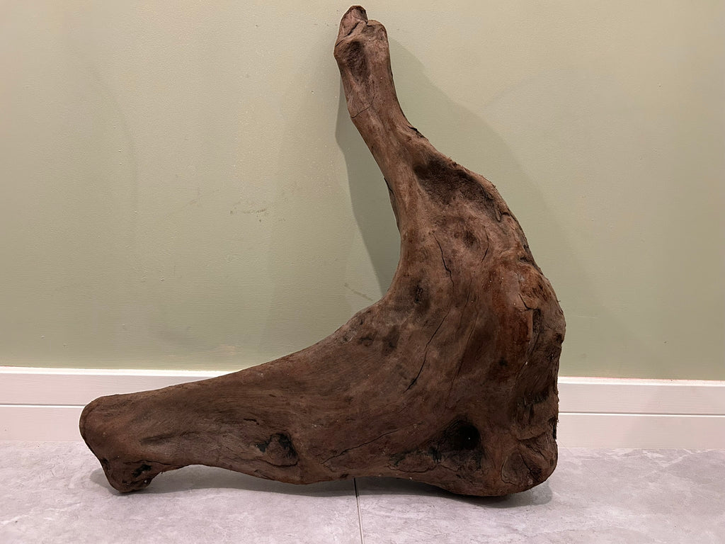Natural Medium Driftwood