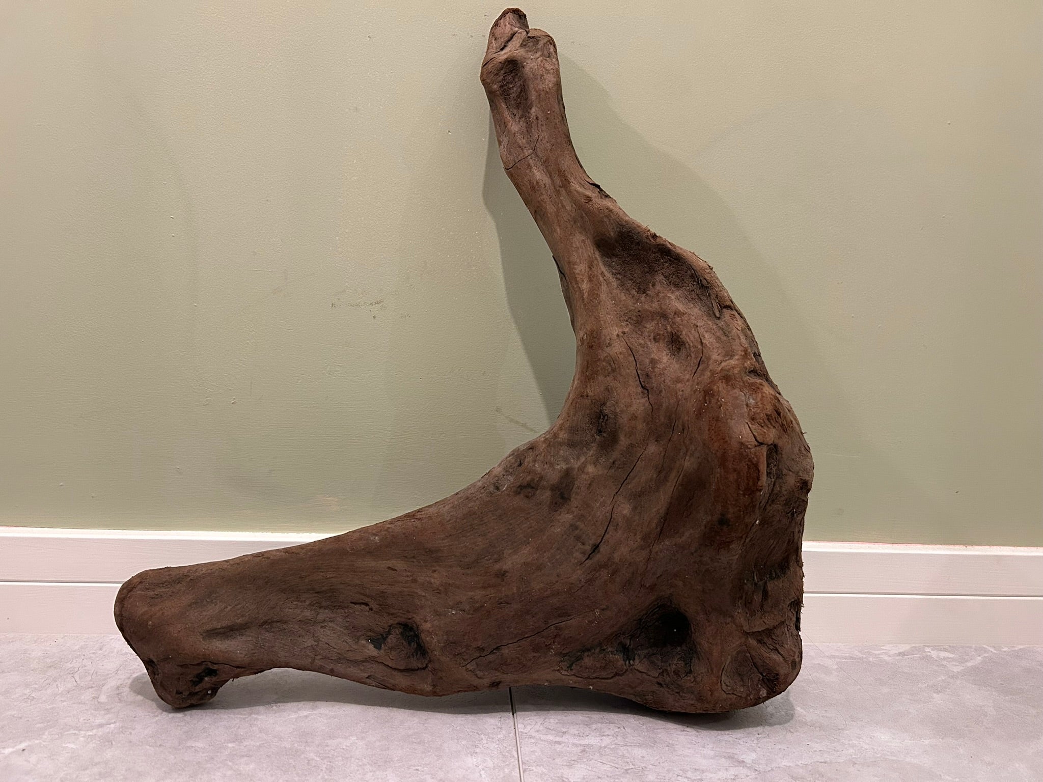 Natural Medium Driftwood