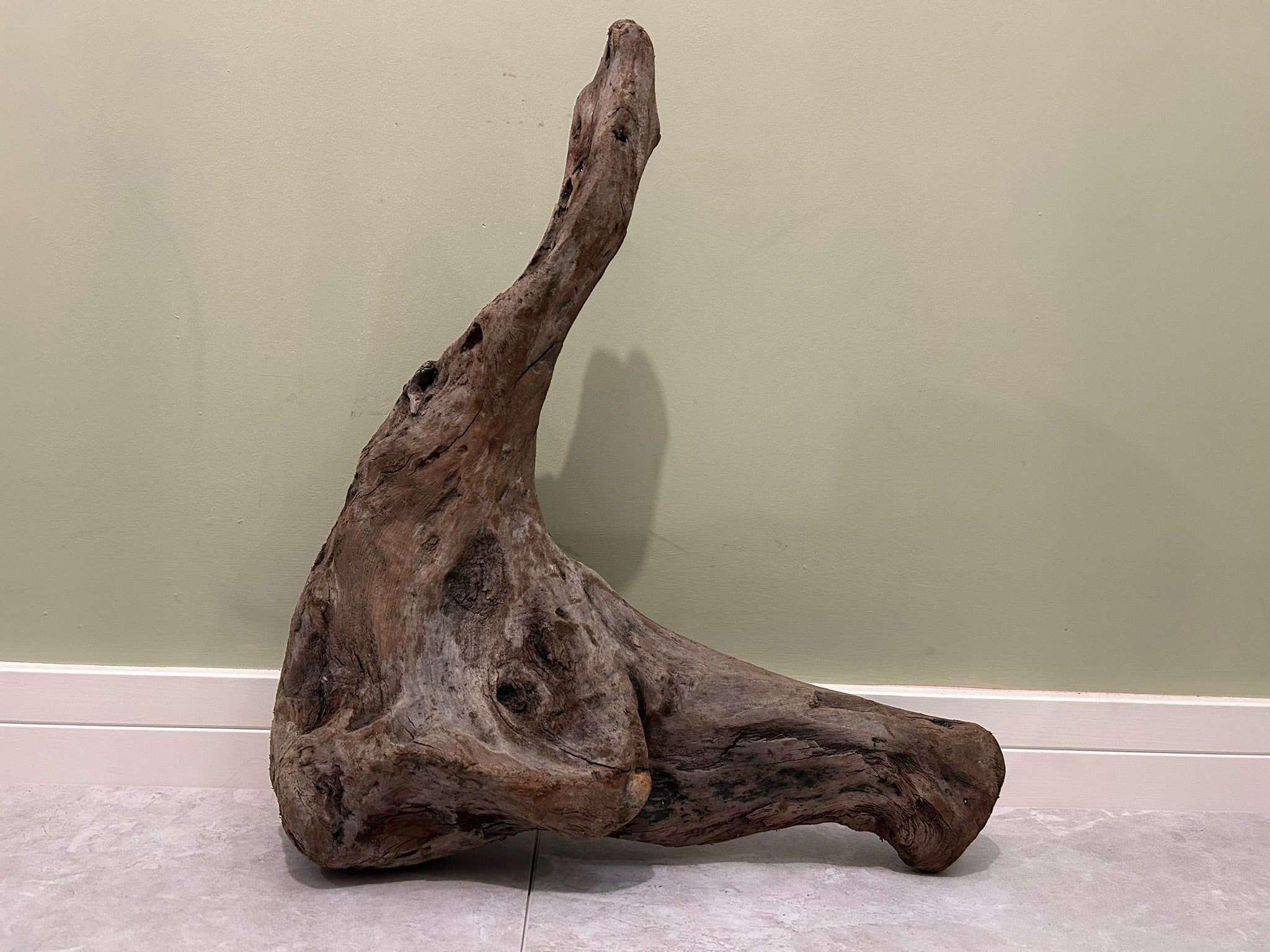 Natural Medium Driftwood
