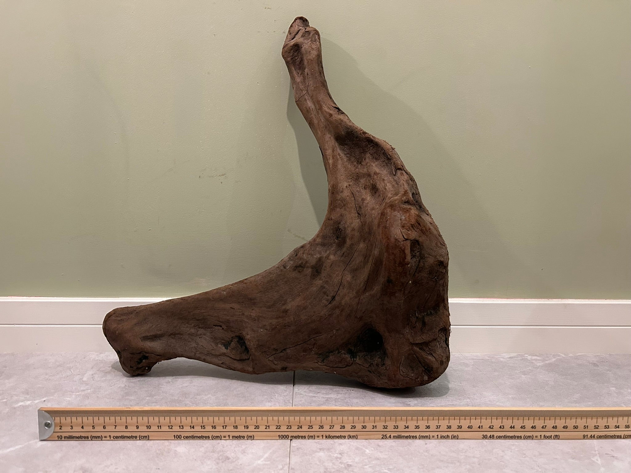 Natural Medium Driftwood