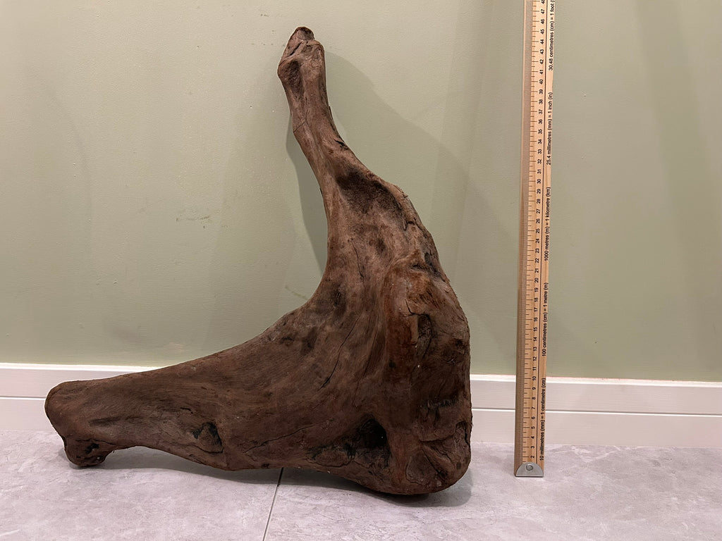 Natural Medium Driftwood