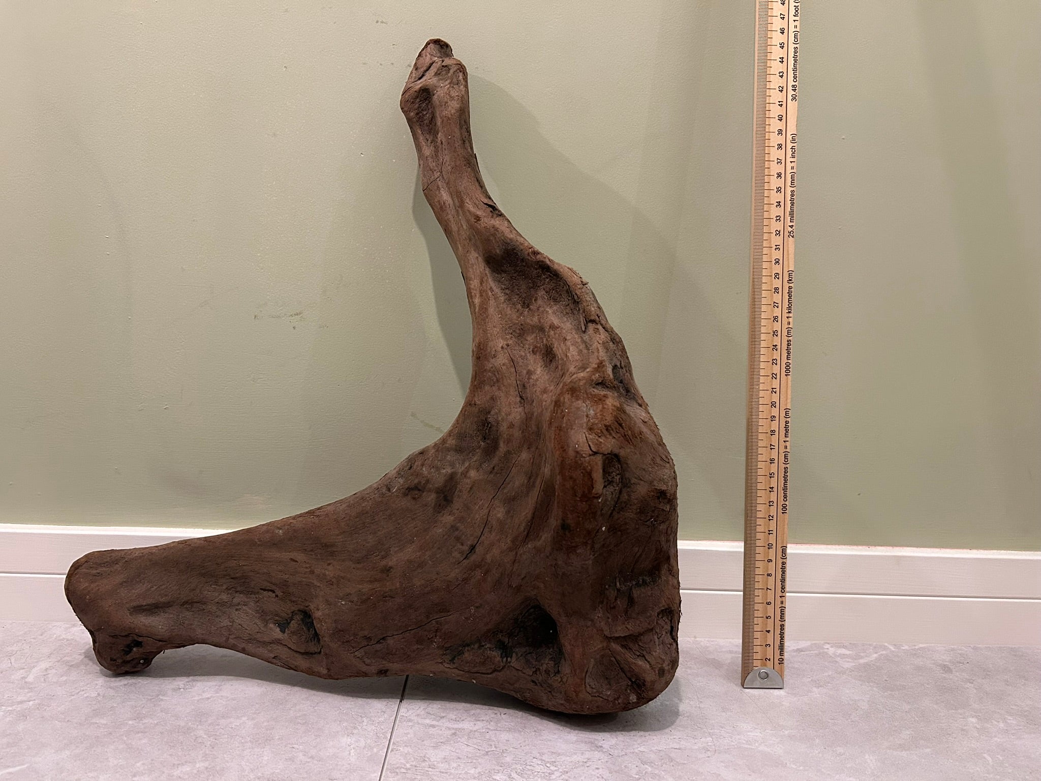 Natural Medium Driftwood