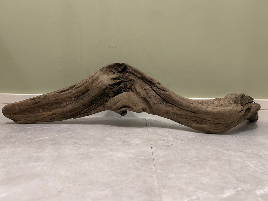Natural Large Driftwood