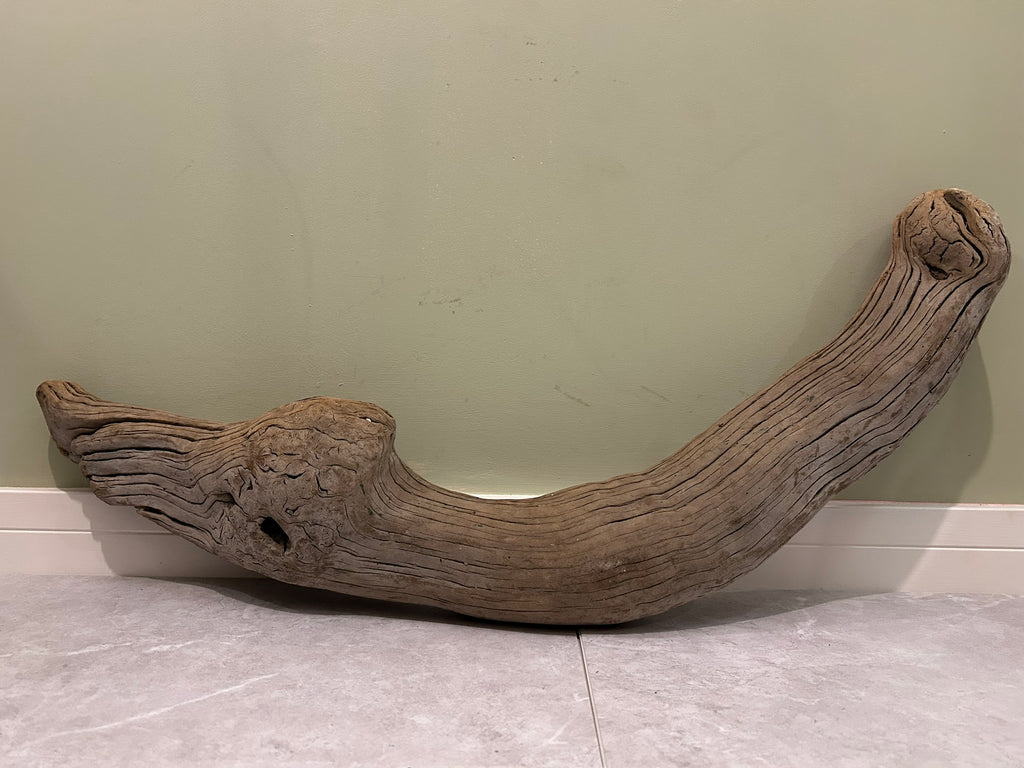 Natural Large Driftwood