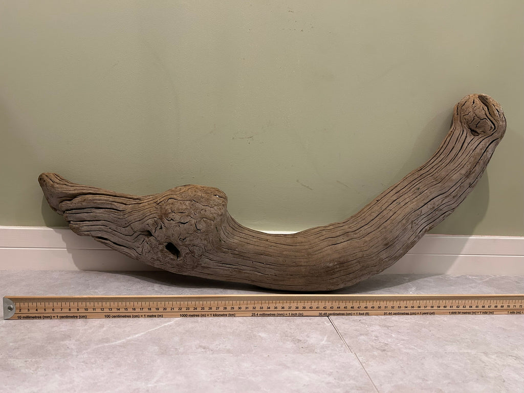 Natural Large Driftwood