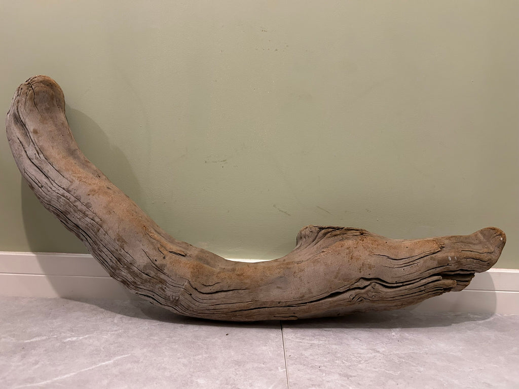 Natural Large Driftwood