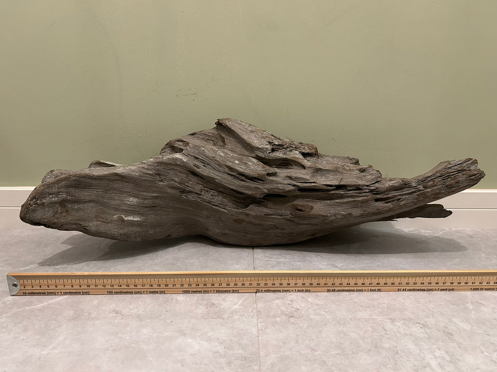 Natural Large Driftwood