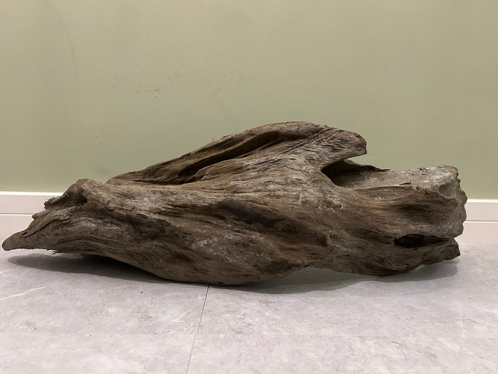 Natural Large Driftwood