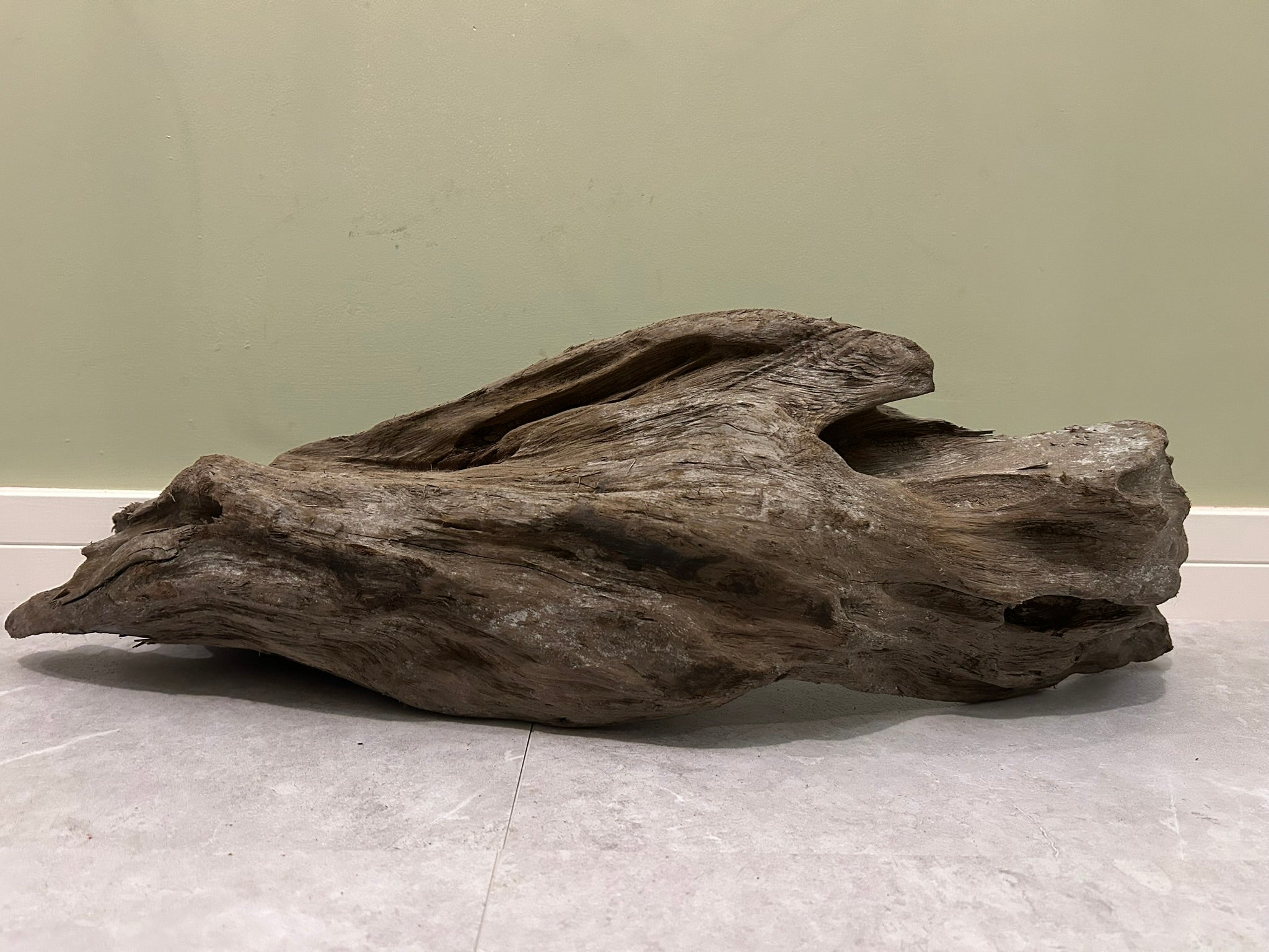 Natural Large Driftwood