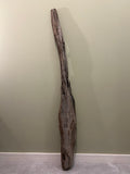 Natural Large Driftwood