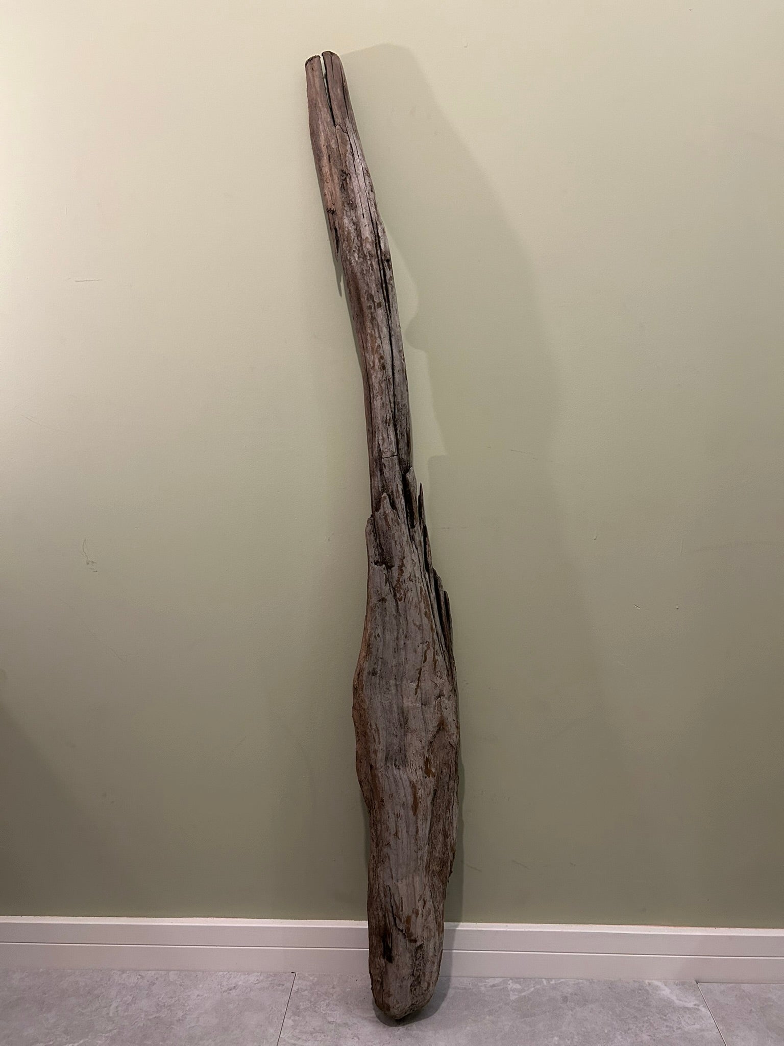 Natural Large Driftwood