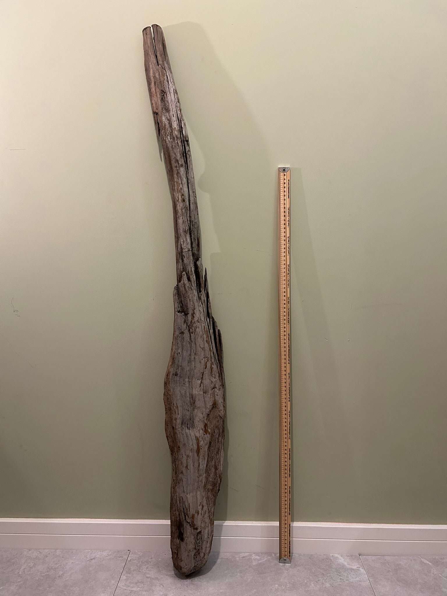 Natural Large Driftwood