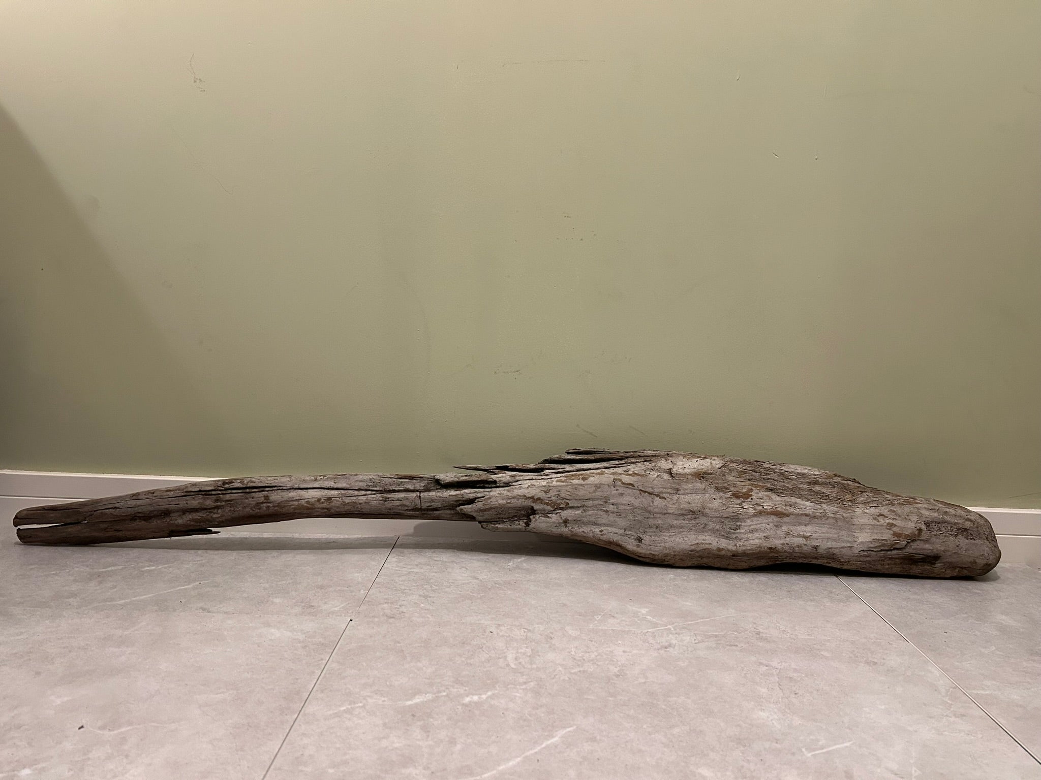 Natural Large Driftwood