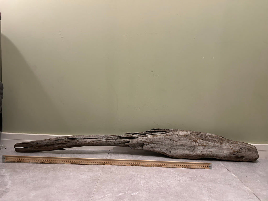 Natural Large Driftwood