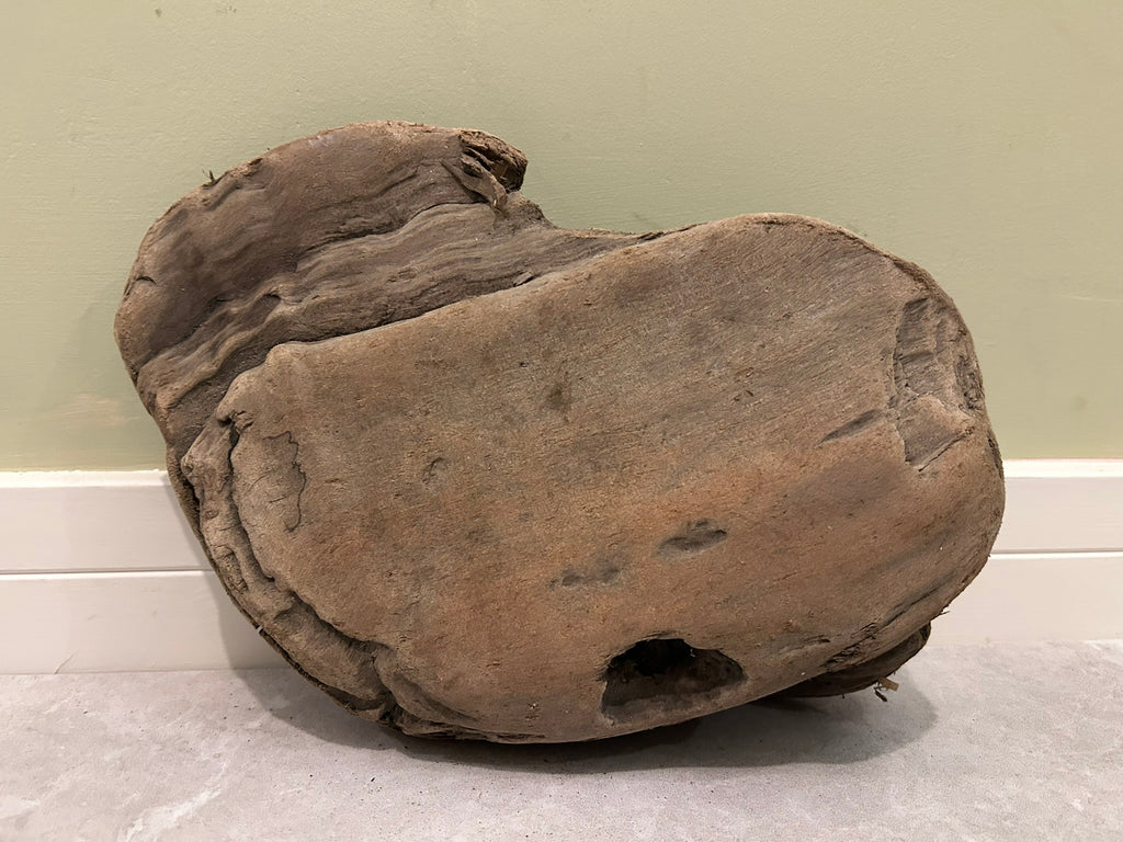 Natural Small Driftwood