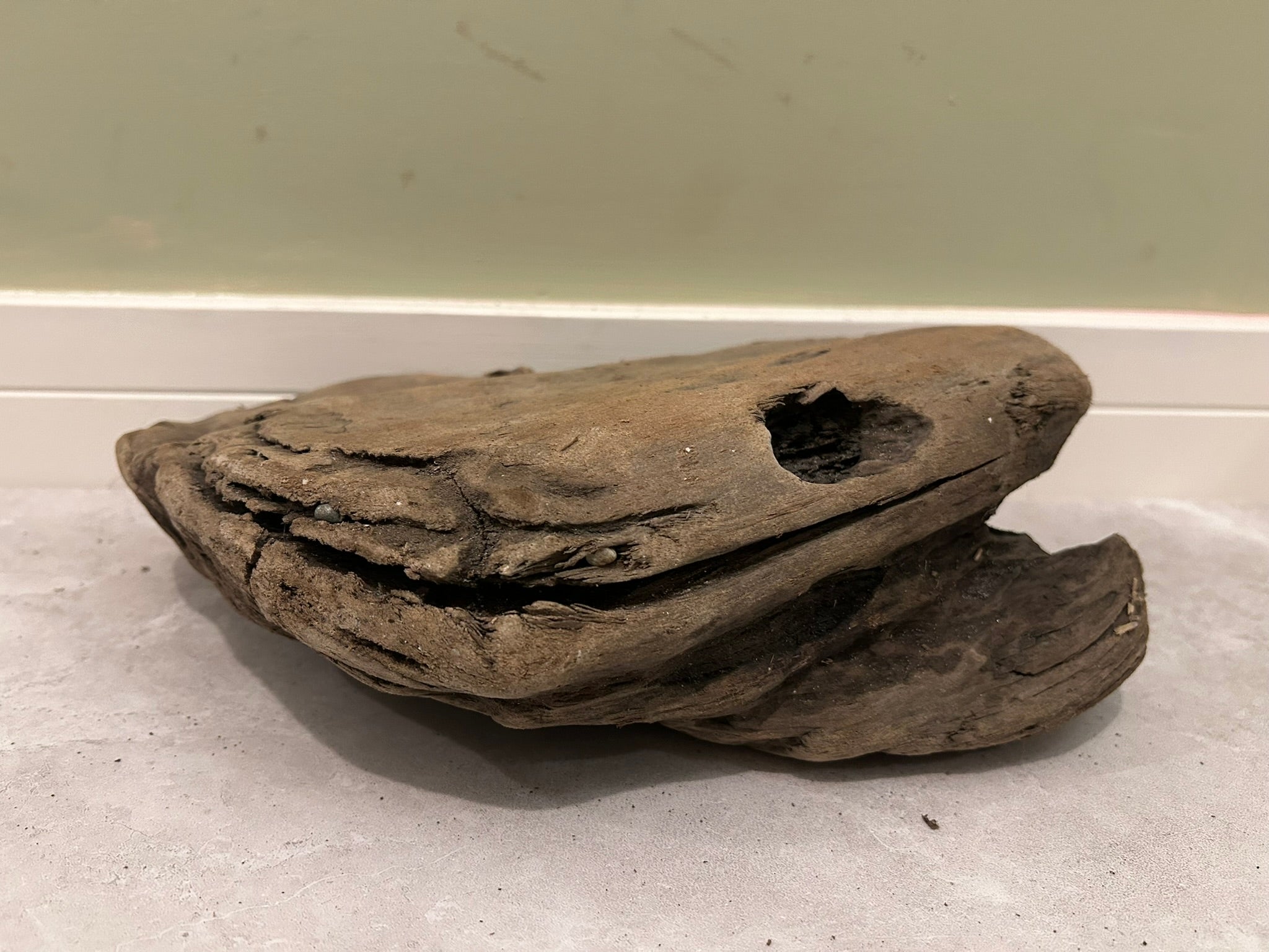 Natural Small Driftwood
