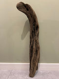 Natural Medium Driftwood
