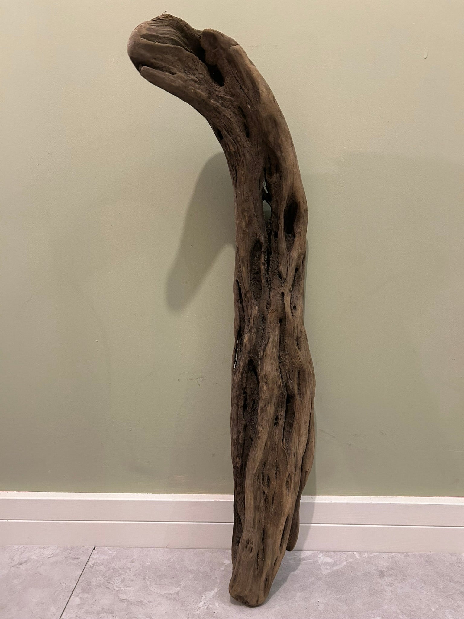Natural Medium Driftwood