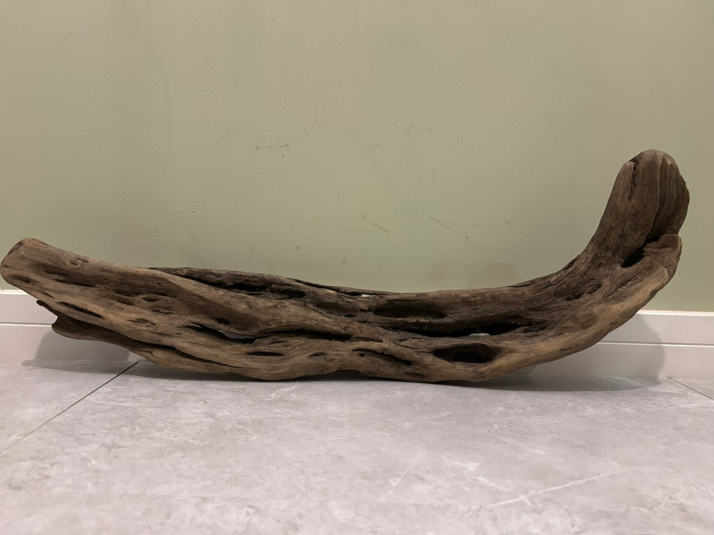 Natural Medium Driftwood