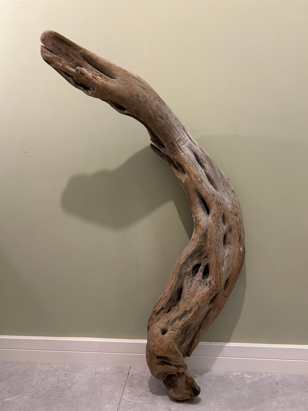 Natural Large Driftwood