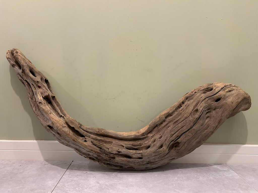 Natural Large Driftwood