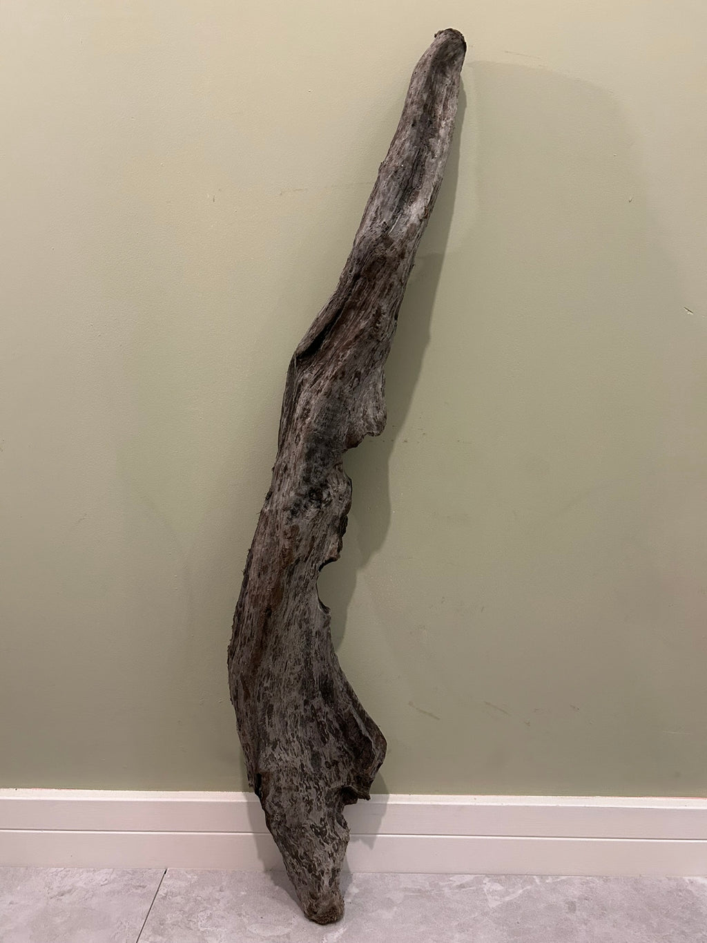 Natural Medium Driftwood