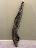 Natural Medium Driftwood