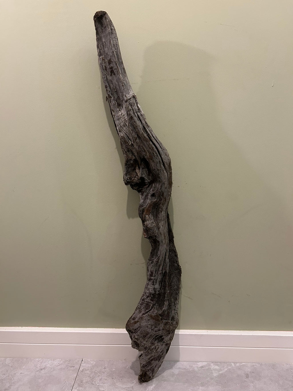 Natural Medium Driftwood