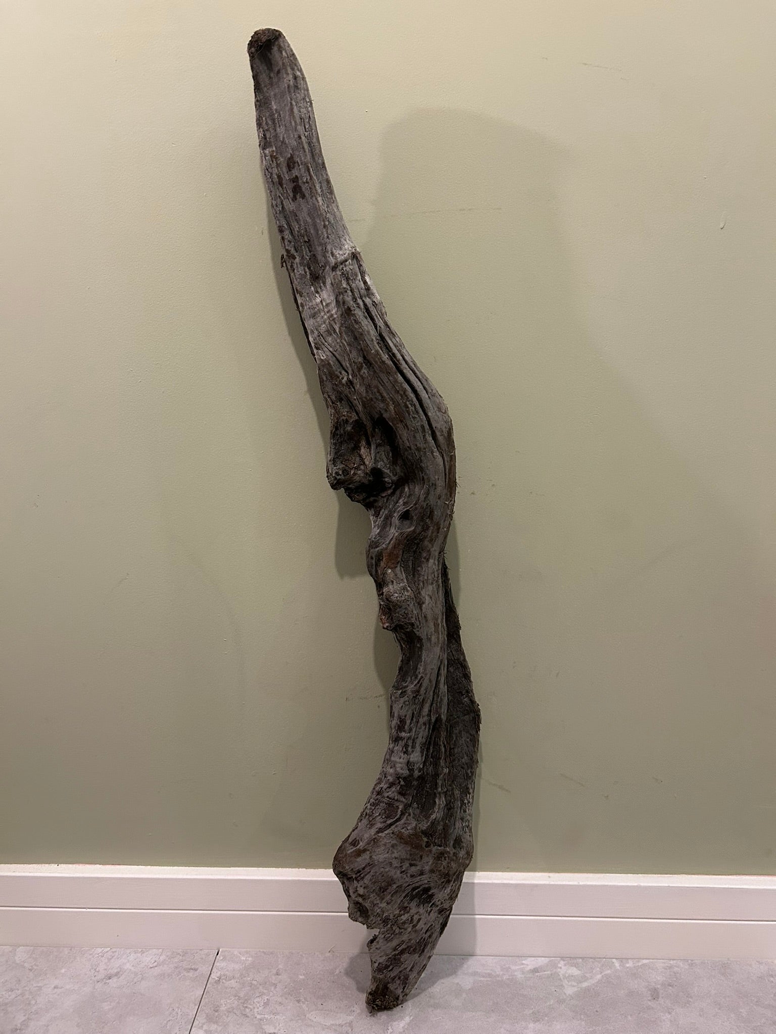 Natural Medium Driftwood