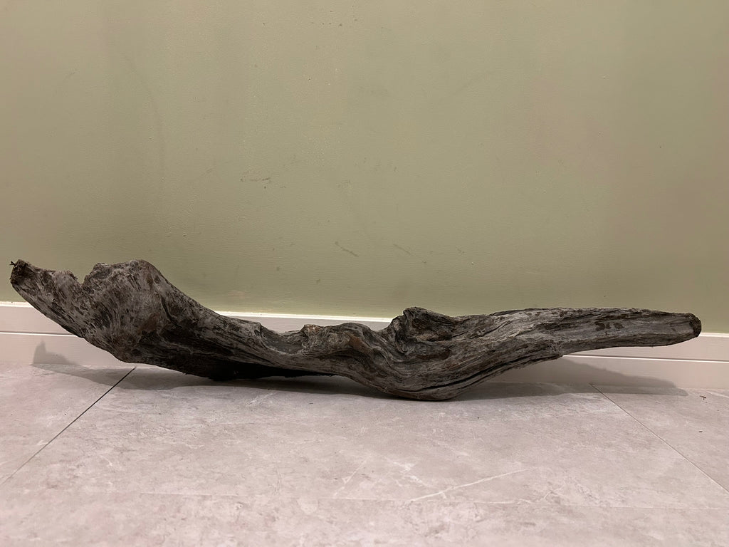 Natural Medium Driftwood