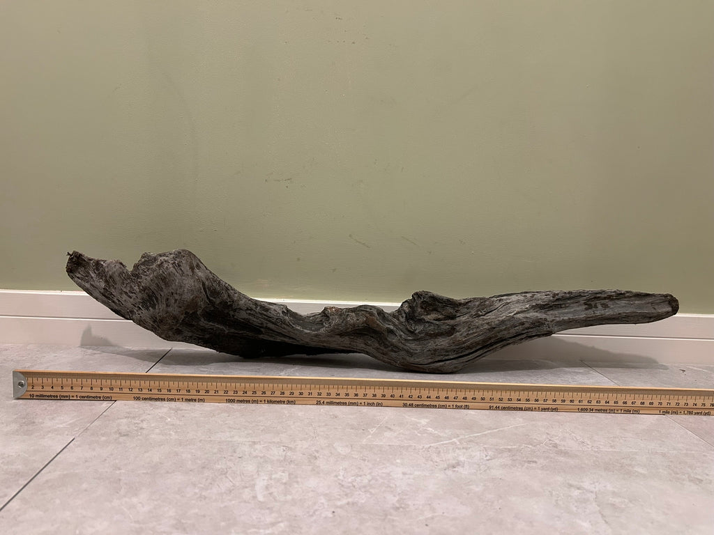 Natural Medium Driftwood