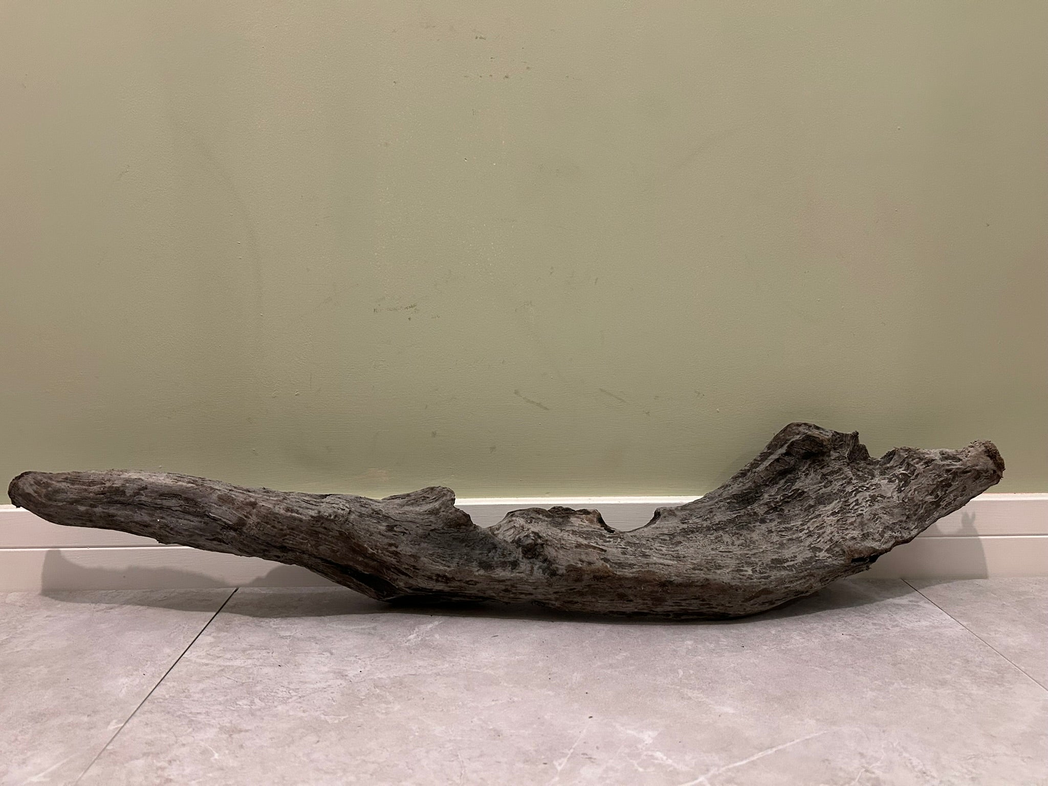 Natural Medium Driftwood