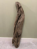 Natural Medium Driftwood