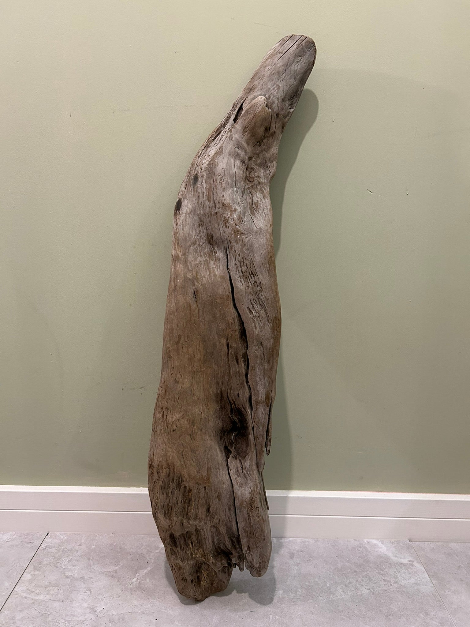 Natural Medium Driftwood