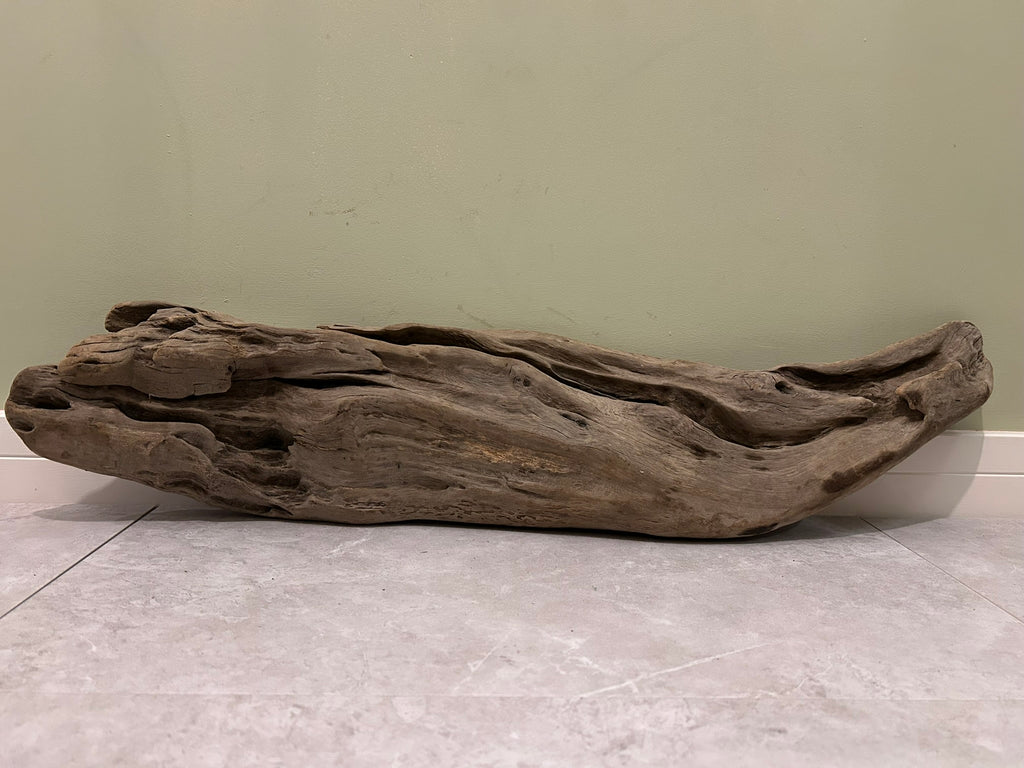 Natural Medium Driftwood