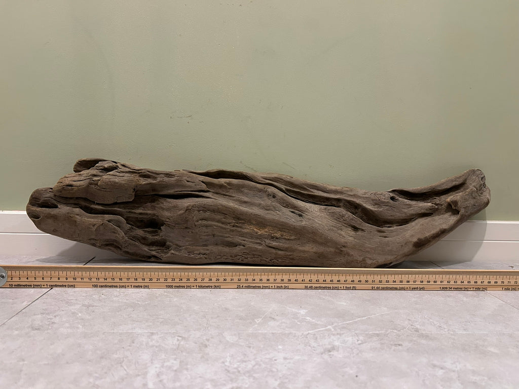 Natural Medium Driftwood