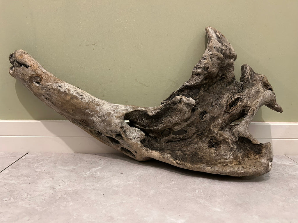 Natural Medium Driftwood