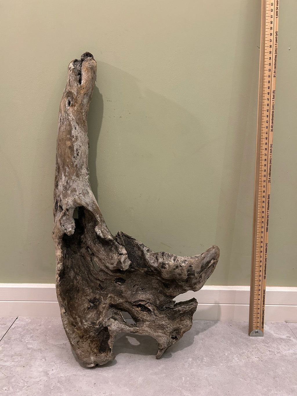 Natural Medium Driftwood
