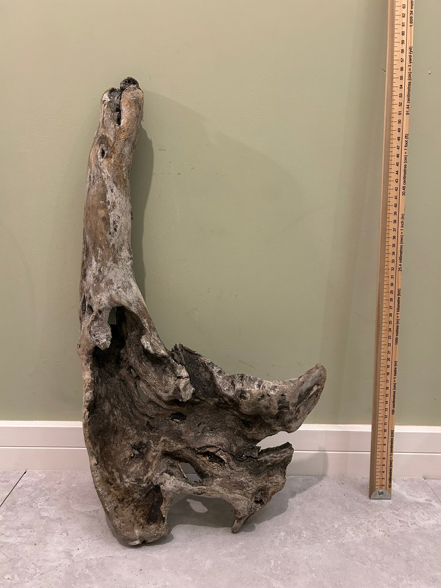Natural Medium Driftwood