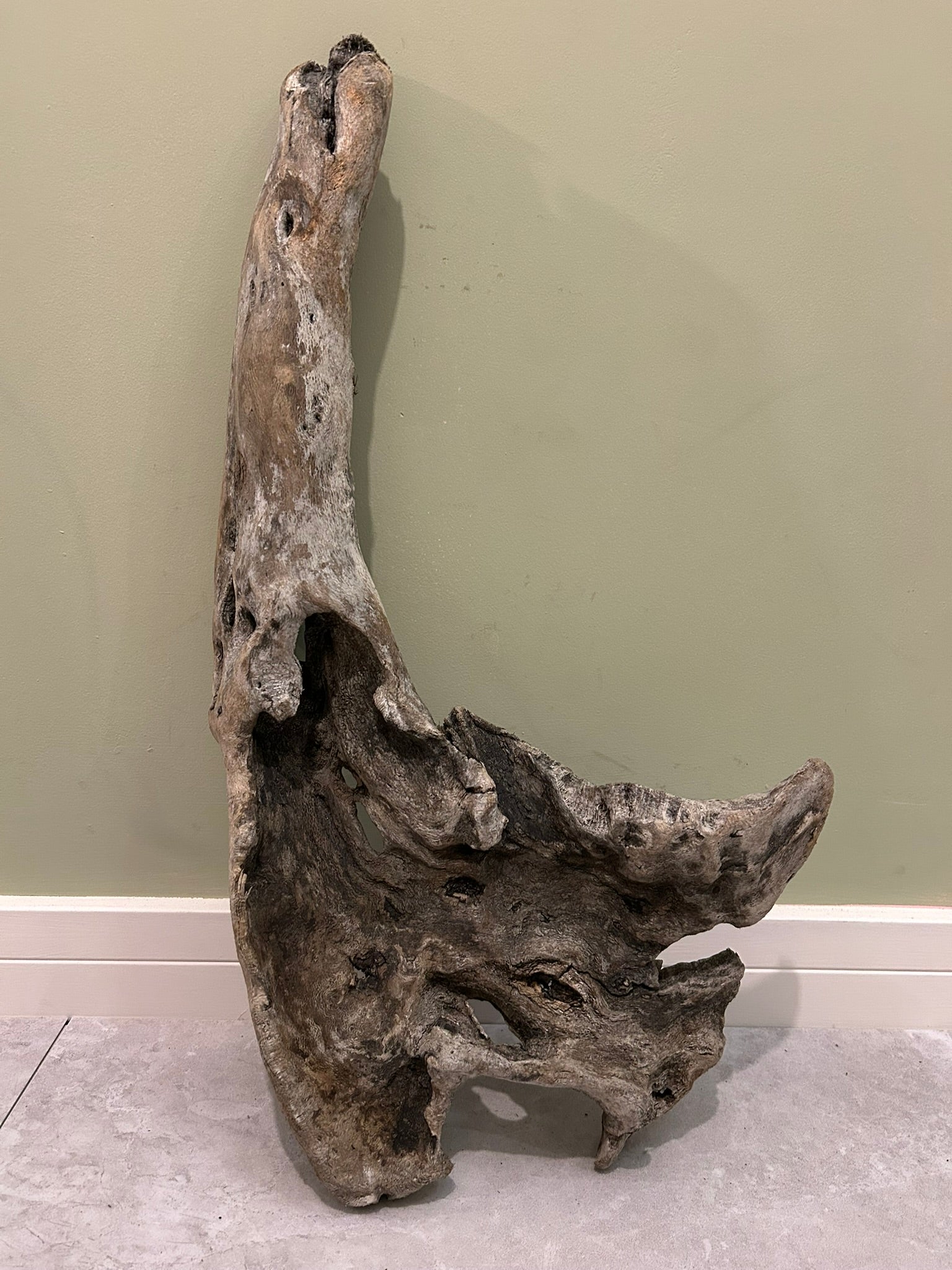 Natural Medium Driftwood